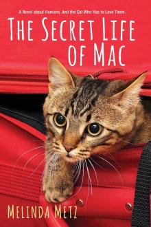 The Secret Life of Mac Read online