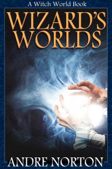 Wizards’ Worlds Read online