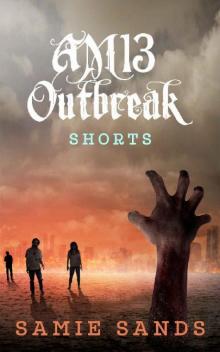 AM13 Outbreak Shorts: The Complete Collection [Books 1-4] Read online