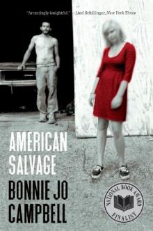 American Salvage Read online
