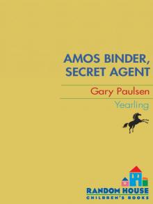 Amos Binder, Secret Agent Read online