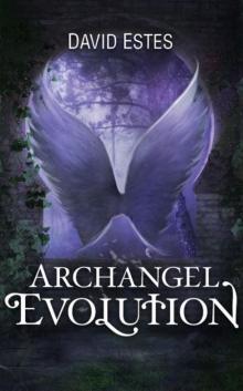 Archangel Evolution Read online