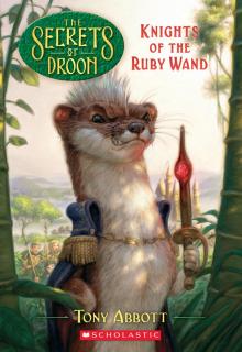 Knights of the Ruby Wand Read online