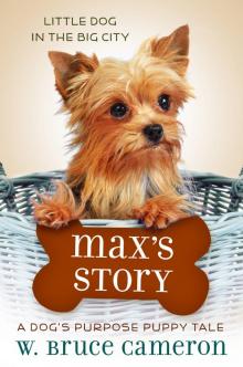 Max's Story Read online