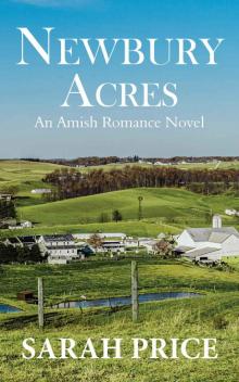 Newbury Acres: An Amish Christian Romance Novel: An Amish Romance Adaptation of Jane Austen's Northanger Abbey (The Amish Classics) Read online