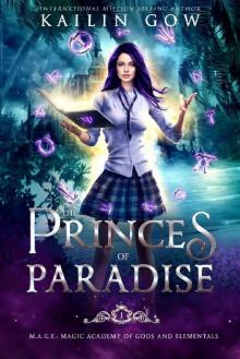 Princes of Paradise: An Academy RH Bully Romance (M.A.G.E. (Magical Academy of Gods and Elementals) Series Book 1) Read online