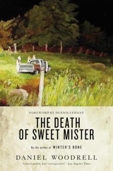 The Death of Sweet Mister Read online