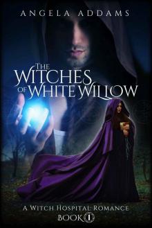 The Witches of White Willow: A Witch Hospital Romance Read online