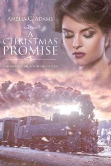 A Christmas Promise (Kansas Crossroads Book 16) Read online