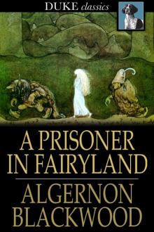 A Prisoner in Fairyland Read online