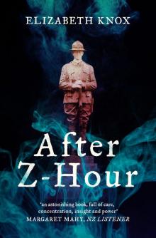 After Z-Hour Read online