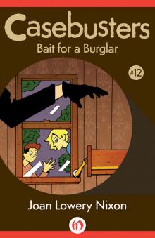 Bait for a Burglar Read online