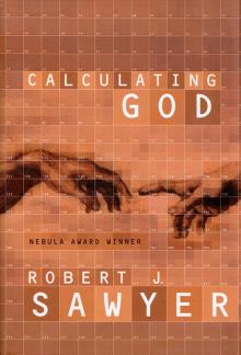 Calculating God Read online