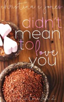 Didn't Mean To Love You (Serendipitous Love Book 2) Read online