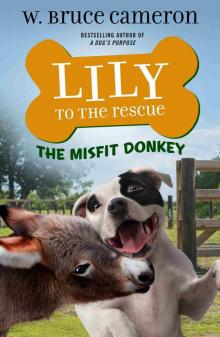 Lily to the Rescue: The Misfit Donkey Read online