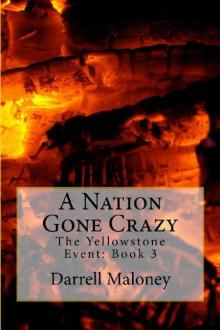 The Yellowstone Event (Book 3): A Nation Gone Crazy Read online