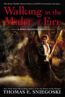 Walking In the Midst of Fire: A Remy Chandler Novel Read online