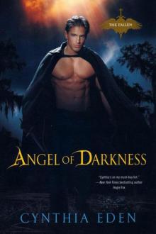 Angel of Darkness Read online
