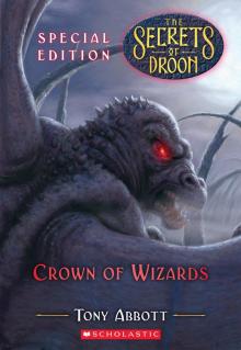 Crown of Wizards Read online