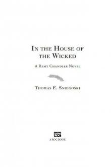 In the House of the Wicked: A Remy Chandler Novel Read online