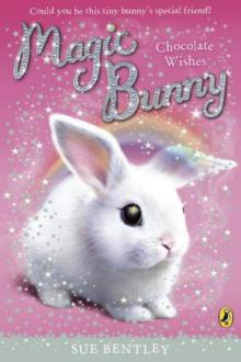 Magic Bunny: Chocolate Wishes Read online