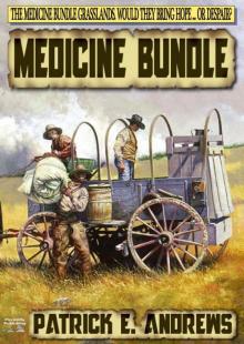 Medicine Bundle Read online
