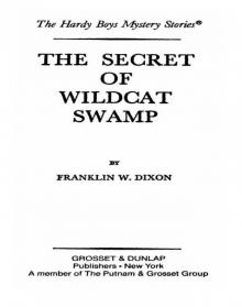 The Secret of Wildcat Swamp Read online