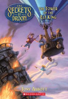 The Tower of the Elf King Read online