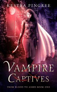 Vampire Captives (From Blood to Ashes Book 1) Read online