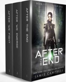 After The End Read online