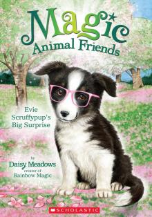 Evie Scruffypup's Big Surprise Read online