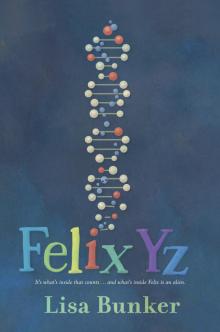 Felix Yz Read online