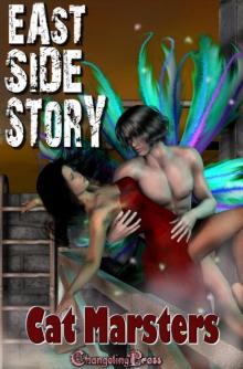Sundown Investigations 1: East Side Story Read online