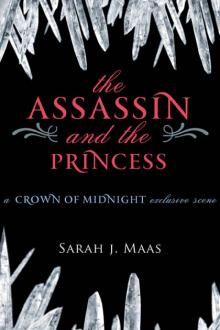 The Assassin and the Princess Read online