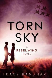 Torn Sky (Rebel Wing Trilogy, Book 3) (Rebel Wing Series) Read online