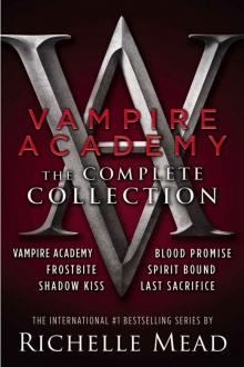 Vampire Academy: The Complete Collection: 1/6 Read online
