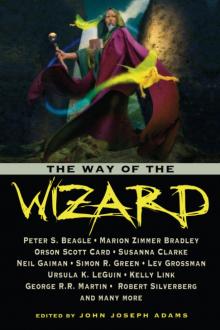 Way of the Wizard Read online