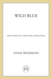 Wild Blue - The Story of a Mustang Appaloosa Read online