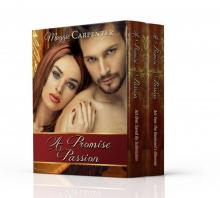 A Promise of Passion Read online