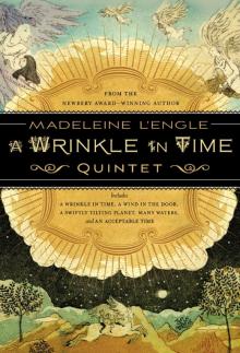 A Wrinkle in Time Quintet Read online
