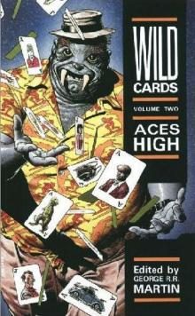 Aces High wc-2 Read online
