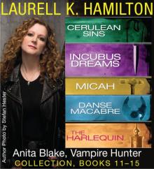 Anita Blake, Vampire Hunter collection 11-15 Read online