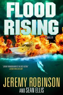 Flood Rising (A Jenna Flood Thriller) Read online
