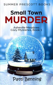 Small Town Murder (Asheville Meadows Cozy Mysteries Book 1) Read online