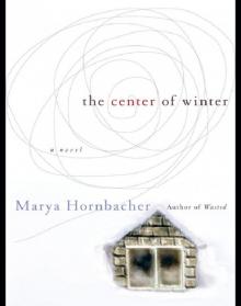 The Center of Winter Read online