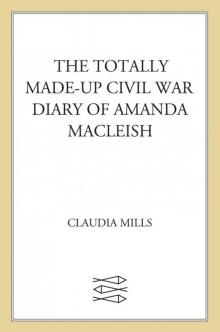 The Totally Made-up Civil War Diary of Amanda MacLeish Read online