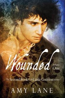 Wounded, Volume 1 Read online