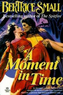 A Moment in Time Read online