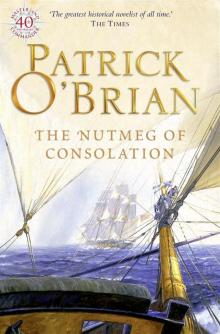 Book 14 - The Nutmeg Of Consolation Read online
