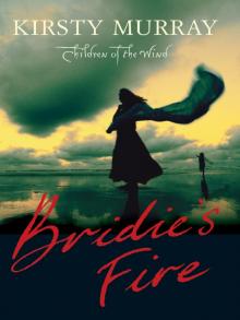 Bridie's Fire Read online